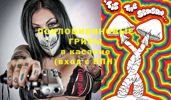 крисы Кострома