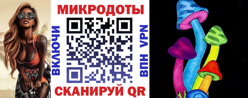 Псилоцибиновые грибы Psilocybine cubensis  Голицыно 